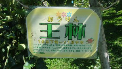 20121026_3.jpg
