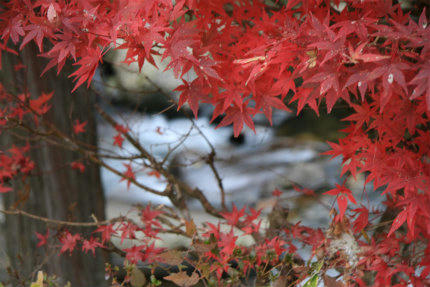 20121105_2.jpg