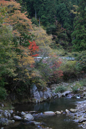 20121105_3.jpg