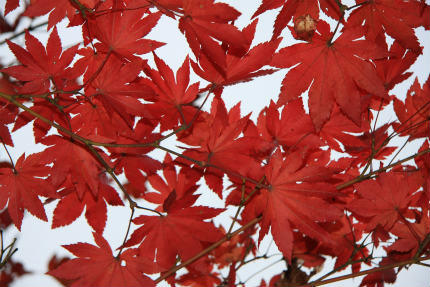 20121105_4.jpg