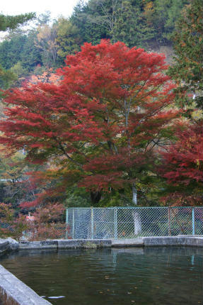 20121109_1.jpg