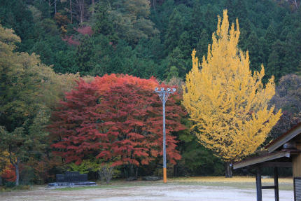 20121109_3.jpg