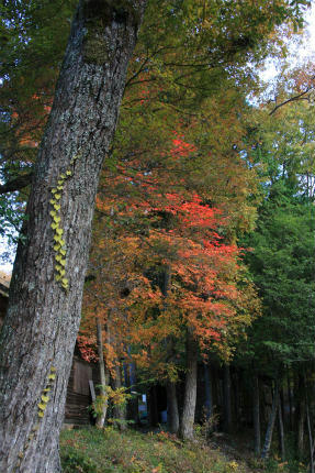 20121110_1.jpg