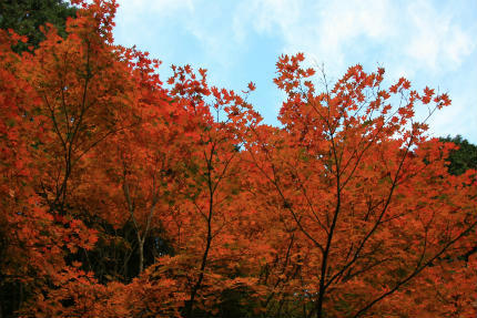 20121110_2.jpg