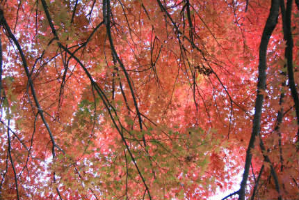 20121110_3.jpg