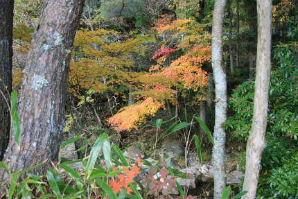 20121110_4.jpg
