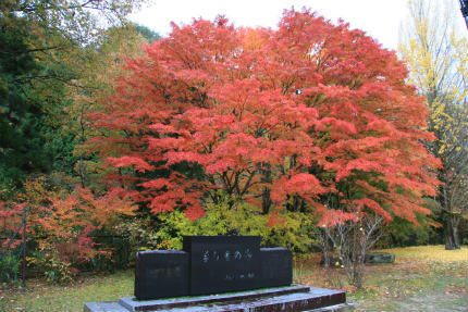20121111_1.jpg