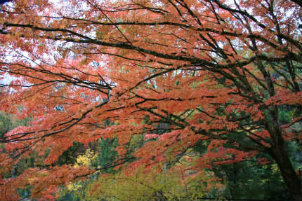 20121111_2.jpg