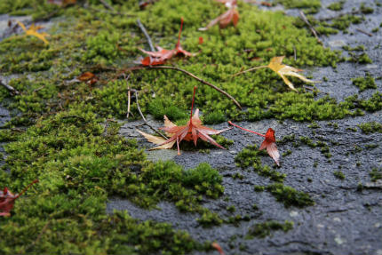20121111_4.jpg