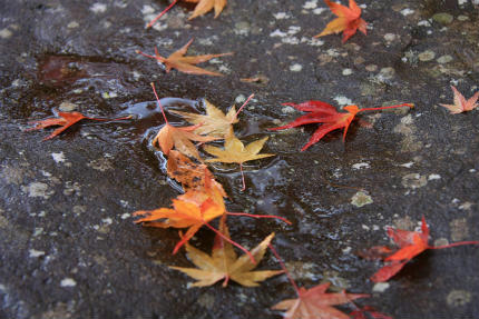 20121111_5.jpg