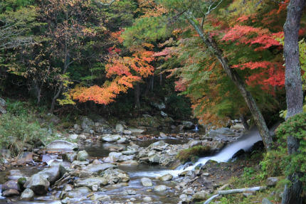 20121111_6.jpg