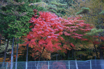 20121116_2.jpg