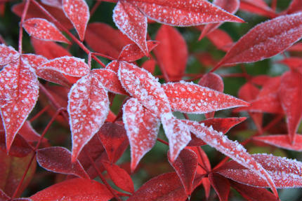 20121116_3.jpg