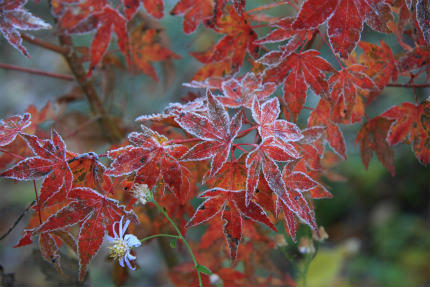 20121116_4.jpg