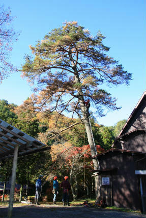 20121117_1.jpg