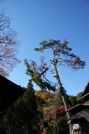 20121117_3.jpg