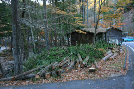 20121127_3.jpg