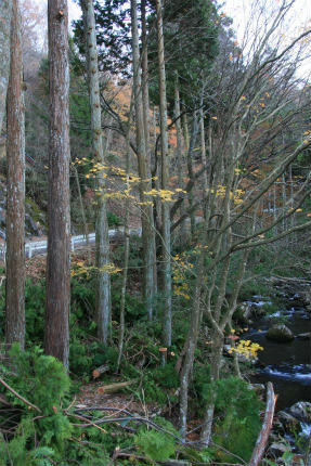 20121127_4.jpg