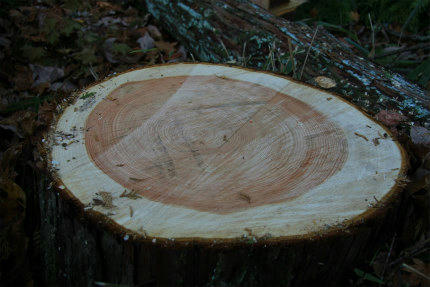 20121127_5.jpg