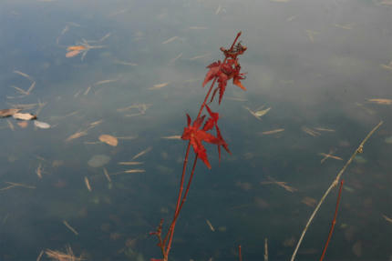 20121128_3.jpg
