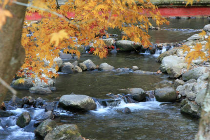 20121128_4.jpg