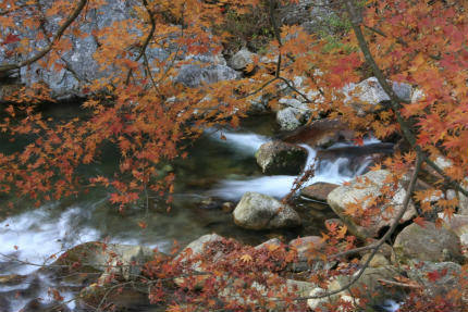 20121128_5.jpg