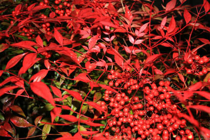 20121202_2.jpg