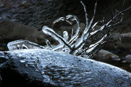 20121209_1.jpg
