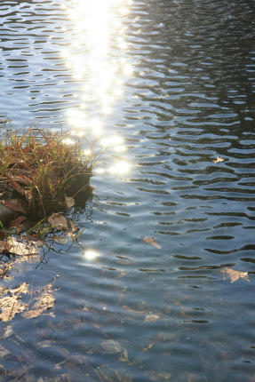 20121209_2.jpg