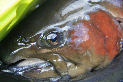 20121209_3.jpg