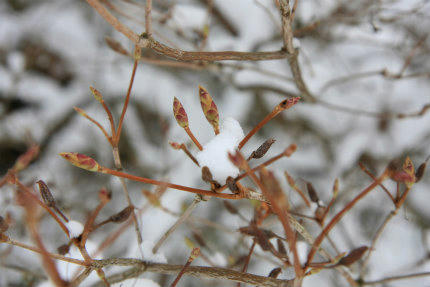 20121210_1.jpg