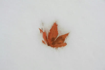 20121210_2.jpg
