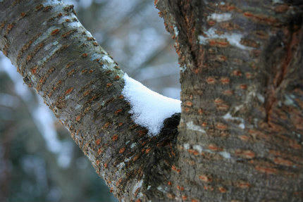 20121211_1.jpg