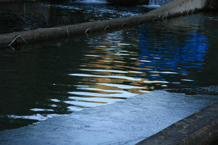 20121213_1.jpg