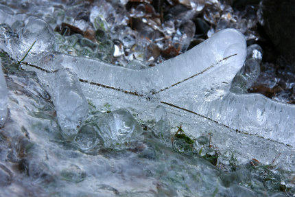 20121213_5.jpg