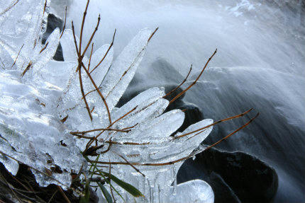 20121213_6.jpg