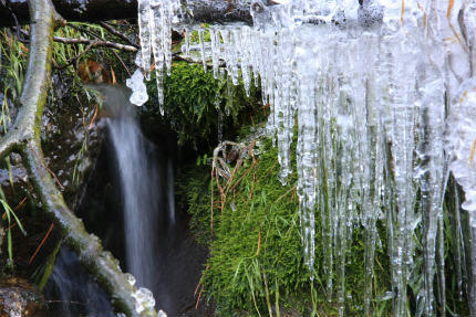 20121213_7.jpg