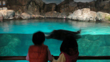 20121216_3.jpg