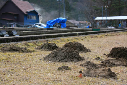 20121217_1.jpg