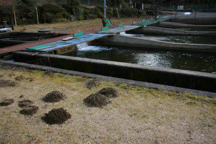 20121217_2.jpg