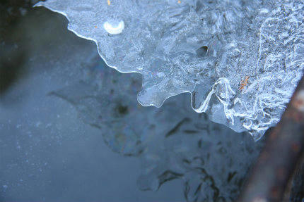 20121227.jpg