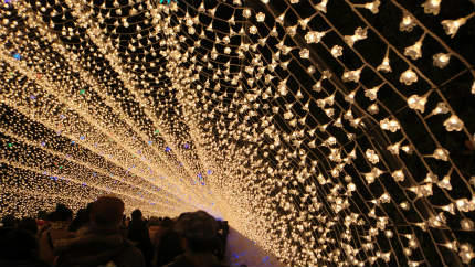 20121229_3.jpg