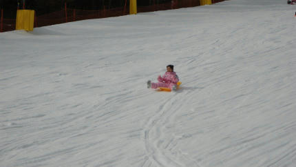 20130105_2.jpg
