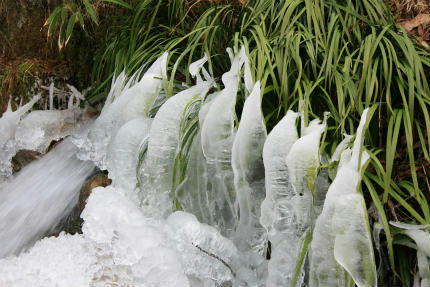 20130106_1.jpg