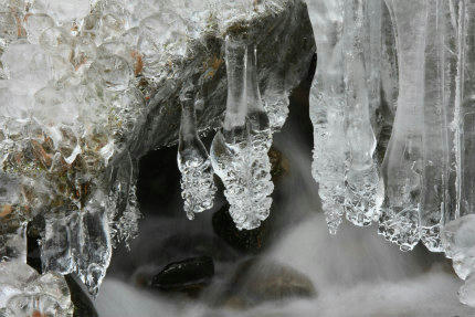 20130106_5.jpg