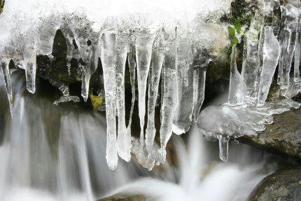 20130106_6.jpg