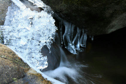 20130107_1.jpg