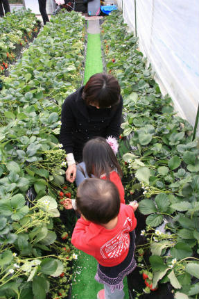 20110206_3.jpg