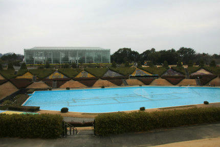 20110206_6.jpg