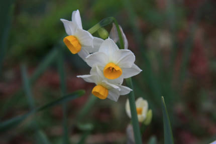 20110206_9.jpg